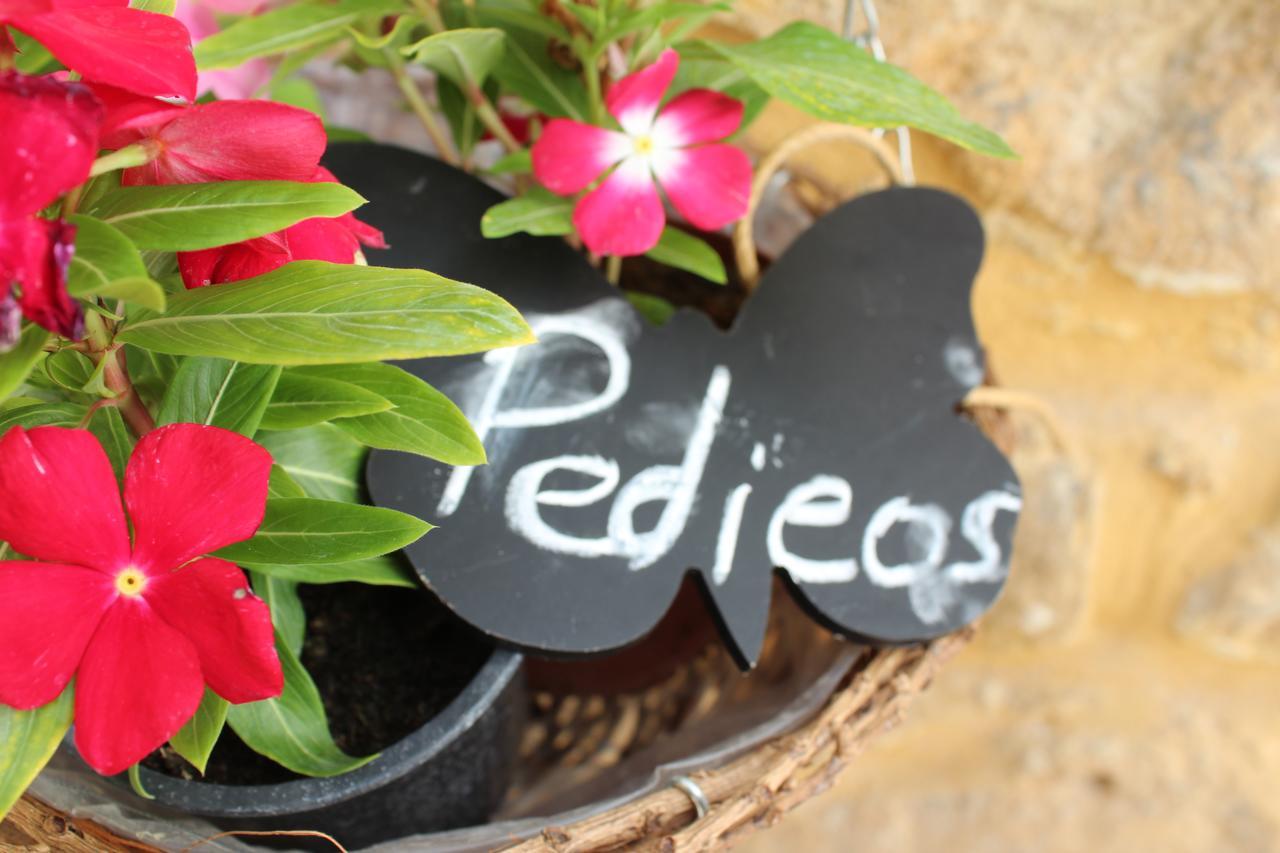 Pedieos Guest House Nicosia Kültér fotó