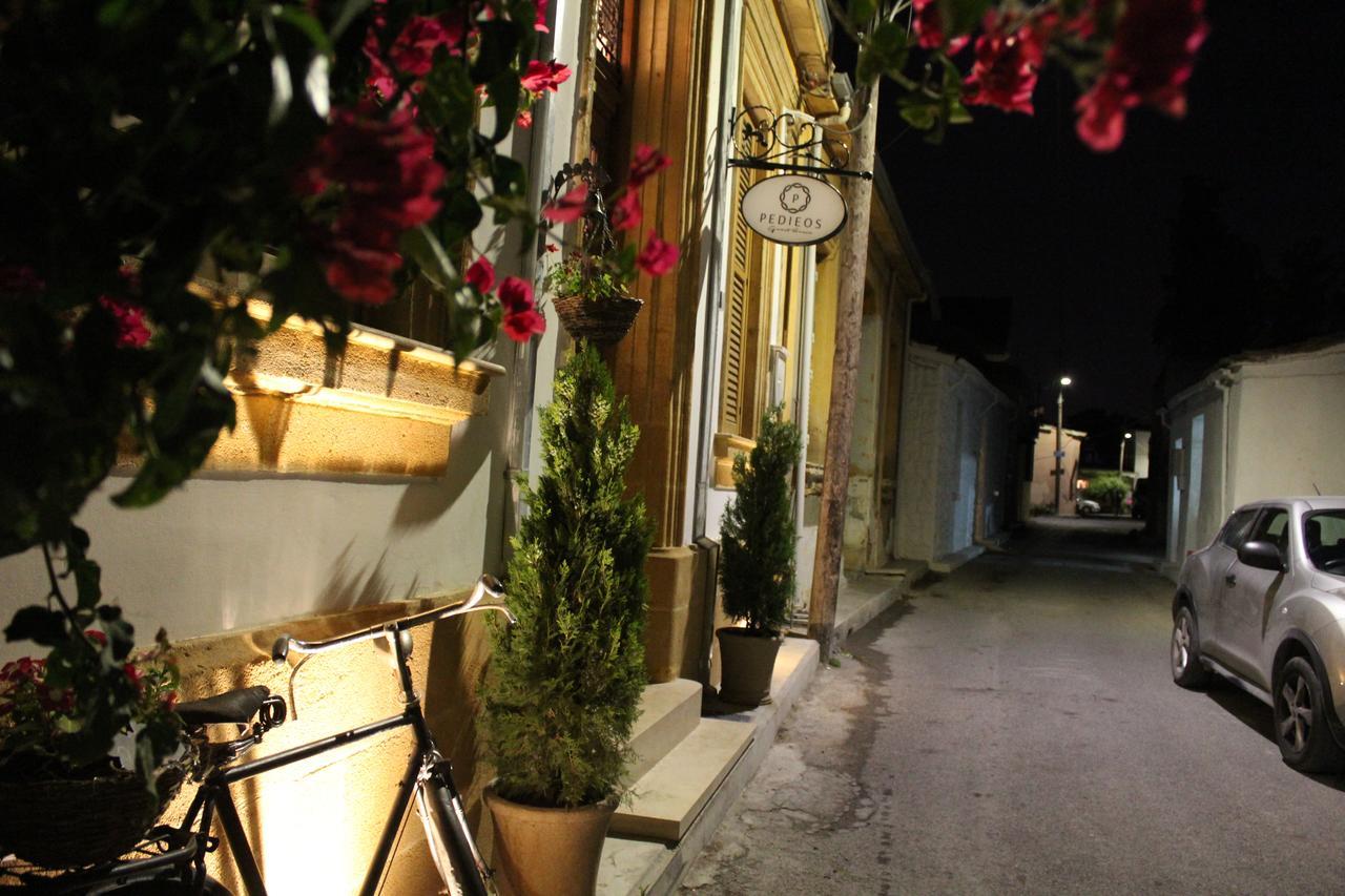 Pedieos Guest House Nicosia Kültér fotó