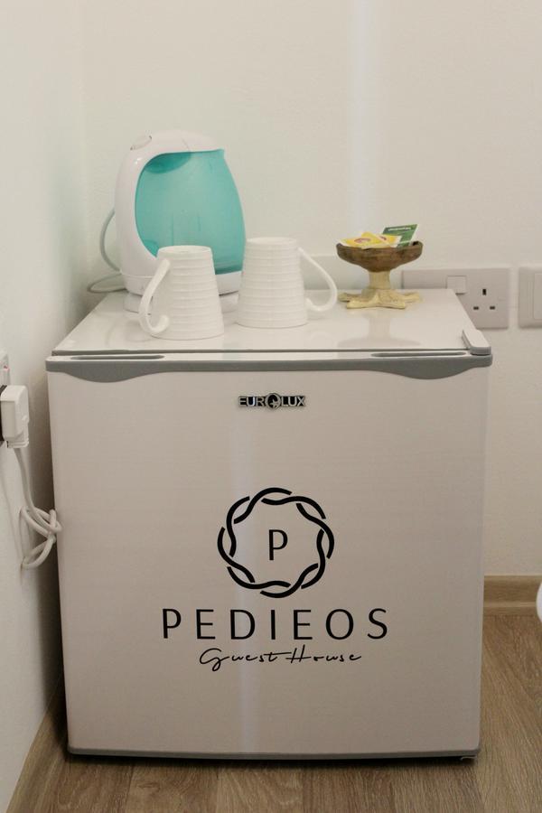 Pedieos Guest House Nicosia Kültér fotó